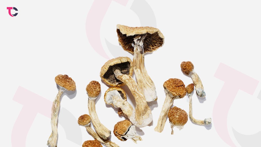 How Long Does It Take for Shrooms to Kick In?