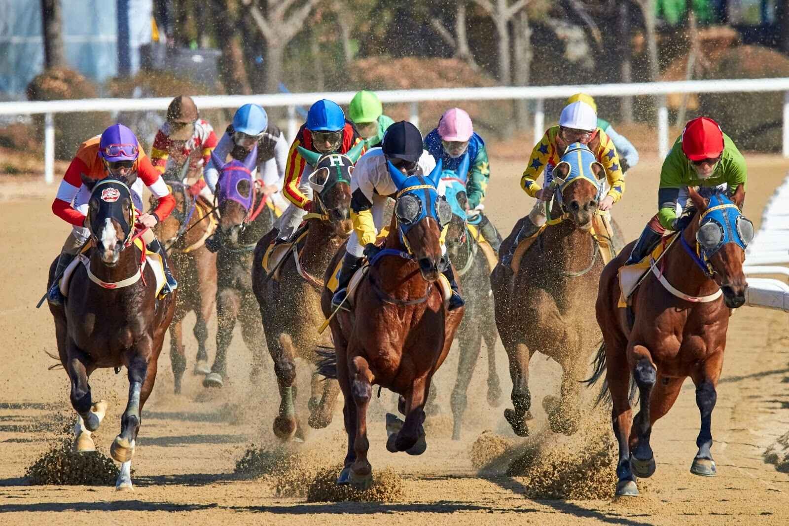 Strategies and Tactics in the World of Horse Racing