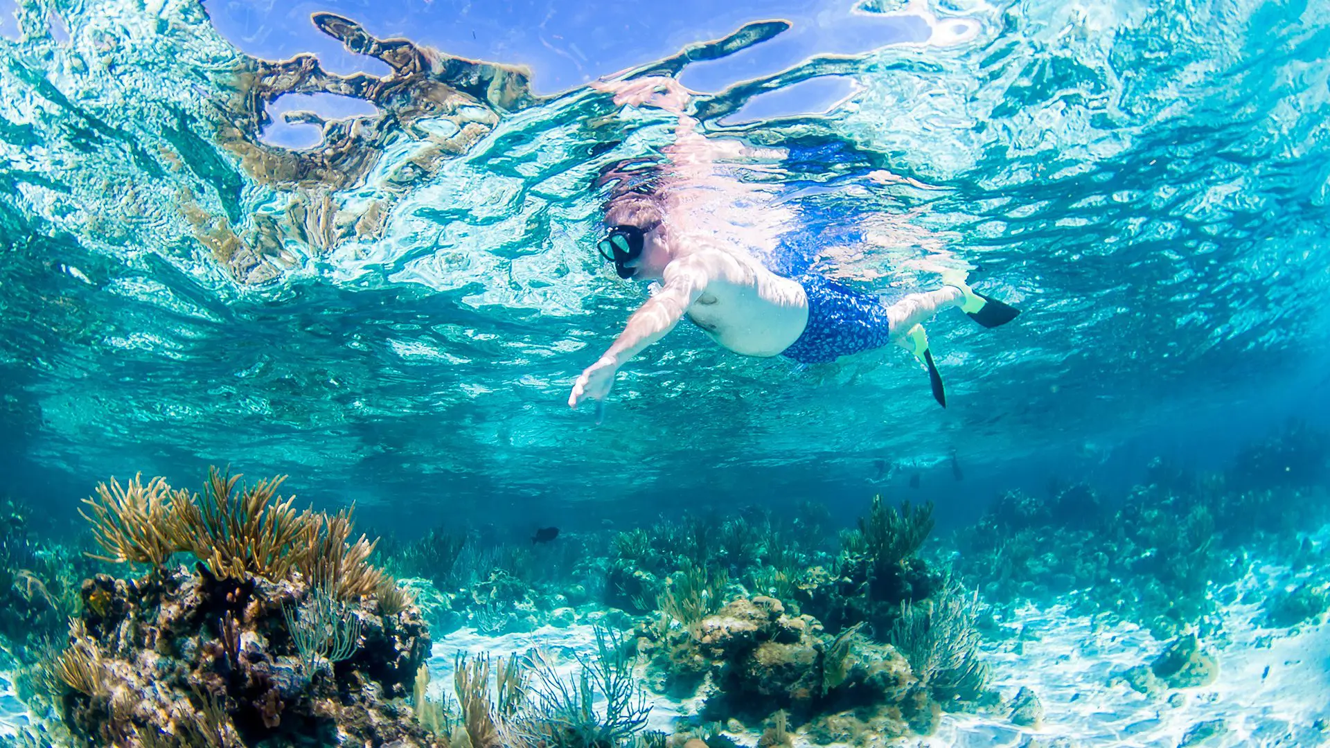 Top Snorkeling Spots in the Western Caribbean